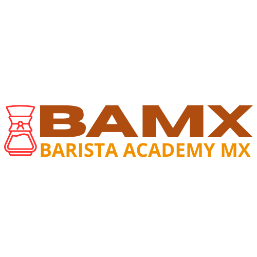LOGO BAMX